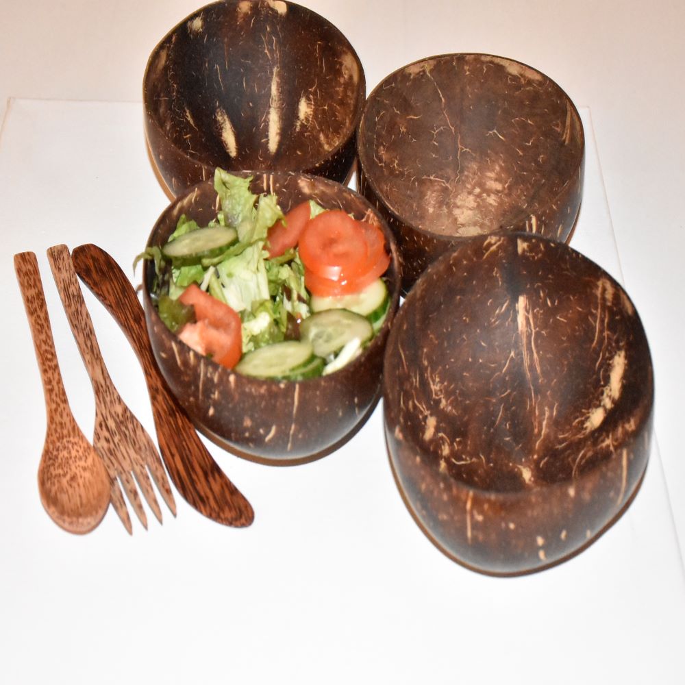 Coconut bowls set van 4