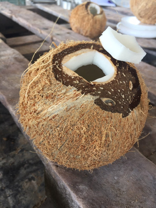 Coconut en zo